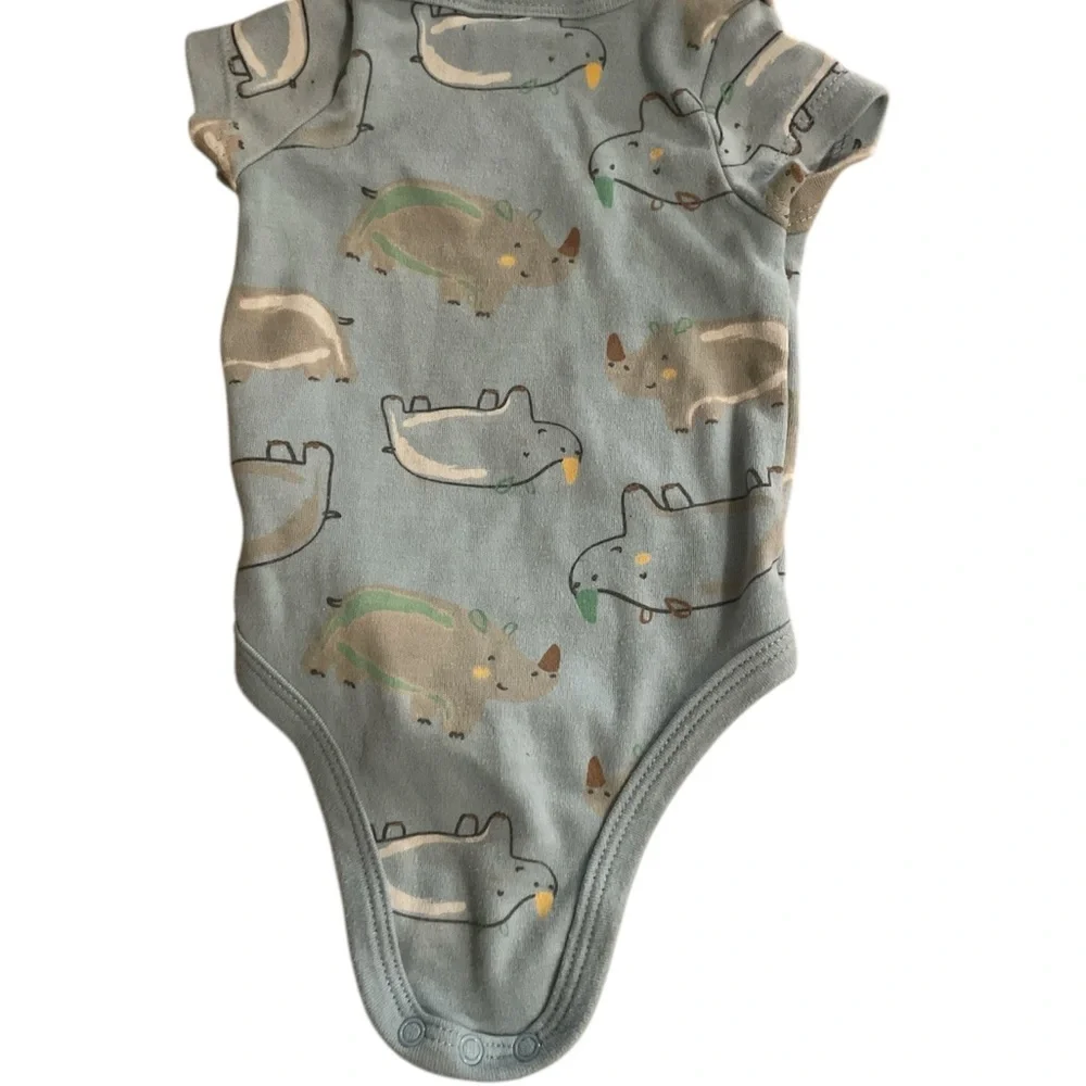 little chicadee bodysuit set